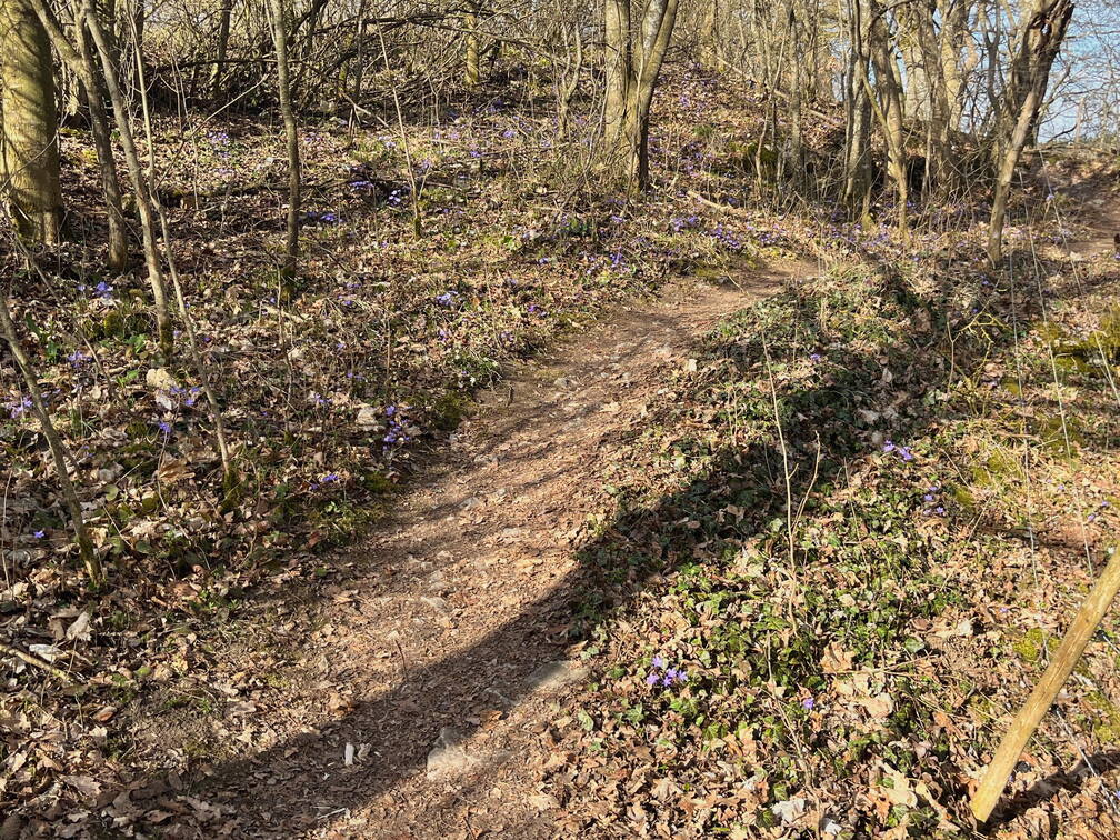 25-03-22 15-22-11 2539